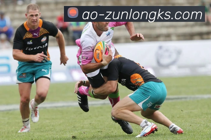 尊龙凯时官网APP 封面图